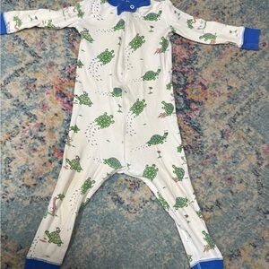 Kids Turtle Print One Piece - Blue and Green